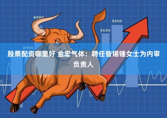 股票配资哪里好 金宏气体：聘任昝锡锤女士为内审负责人