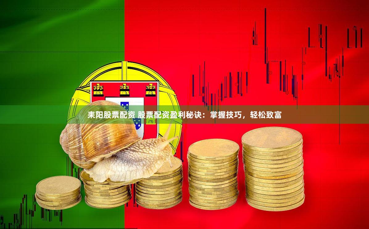 耒阳股票配资 股票配资盈利秘诀：掌握技巧，轻松致富