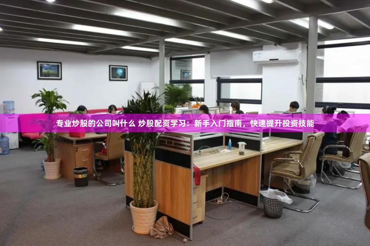 专业炒股的公司叫什么 炒股配资学习：新手入门指南，快速提升投资技能