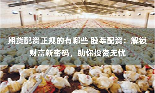 期货配资正规的有哪些 股莘配资：解锁财富新密码，助你投资无忧