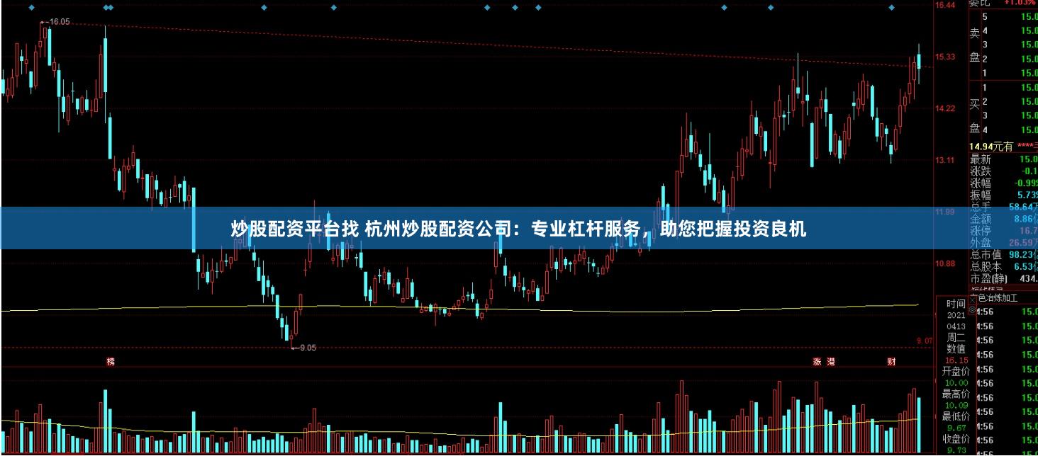 炒股配资平台找 杭州炒股配资公司：专业杠杆服务，助您把握投资良机