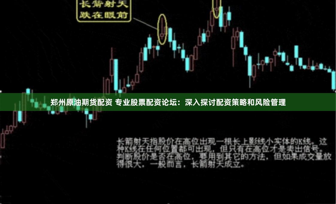 郑州原油期货配资 专业股票配资论坛：深入探讨配资策略和风险管理